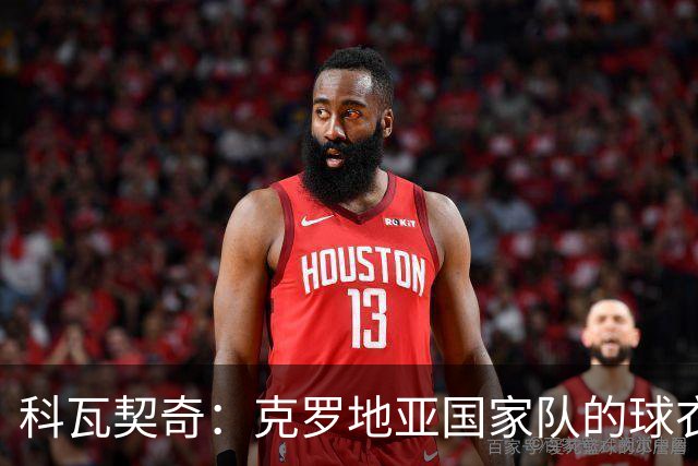 科瓦契奇：克罗地亚国家队的球衣，对我们而言是神圣的